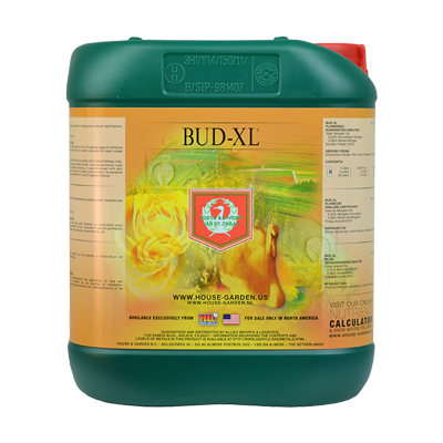 House & Garden Bud-XL