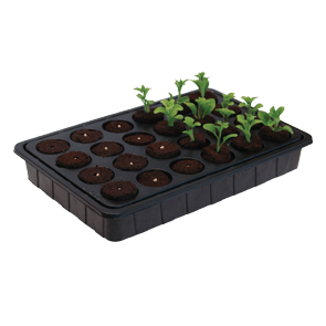 ROOTiT 24 Cell Filled Propagation Insert and Tray - Hydroponic Solutions